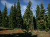 .92 Acres of California Land for Sale