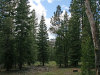 .92 Acres California Land