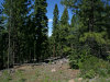 .92 Acres of California Land for Sale