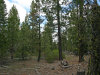 .92 Acres of California Land for Sale