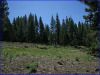 .99 Acres California Land