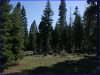 California Land for Sale
