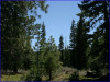 .93 Acres of California Land for Sale