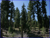 California Land for Sale, .91 Acres .91 Acres California Land