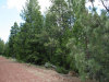 Cheap Monthly Payment of $100 .92 Acres California Land