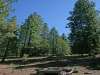 .92 Acres California Land