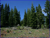 .93 Acres California Land