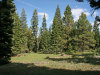 .92 Acres California Land
