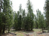 .97 Acres California Land