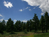 .33 Acres Colorado Land
