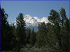 2.61 Acres California Land