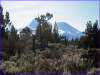 5.26 Acres of California Land for Sale