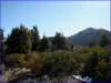 2.56 Acres California Land