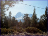 2.57 Acres California Land