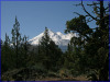 2.6 Acres California Land