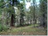 Land for Sale in Oregon, 2.29 Acres 2.29 Acres Oregon Land
