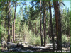 Oregon Land for Sale, 1.4 Acres