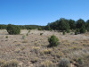 New Mexico Land for Sale, 10 Acres