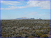 Colorado Land, 5 Acres