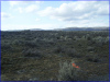 Washington Land, .96 Acres
