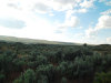 1 Acre Washington Land