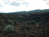 1.13 Acres Washington Land