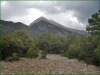 5 Acres of Colorado Land for Sale