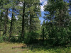 .28 Acres Colorado Land