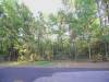 Texas Land Auction, 0.25 Acres 0.25 Acres Texas Land