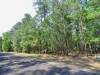 0.25 Acres, Texas Land for Sale
