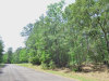 Texas Land, 0.26 Acres