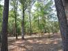 0.25 Acres for $145 a month 0.25 Acres Texas Land