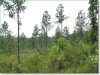 Tennessee Land for Sale, $248 per month 6.4 Acres Tennessee Land
