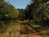 8.3 Acres of Tennessee Land for Sale