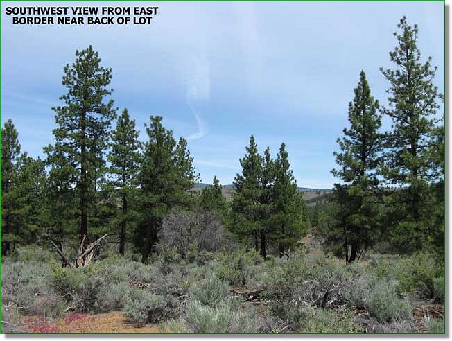 Picture of Land for Sale