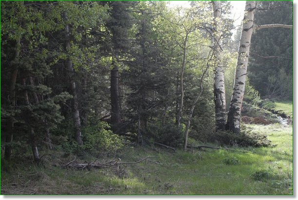 Picture of Land for Sale