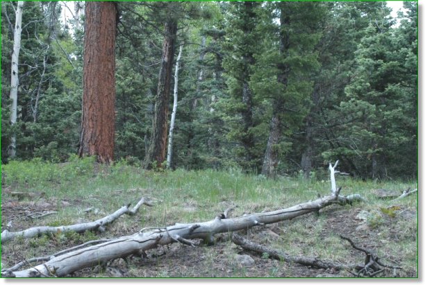 Picture of Land for Sale