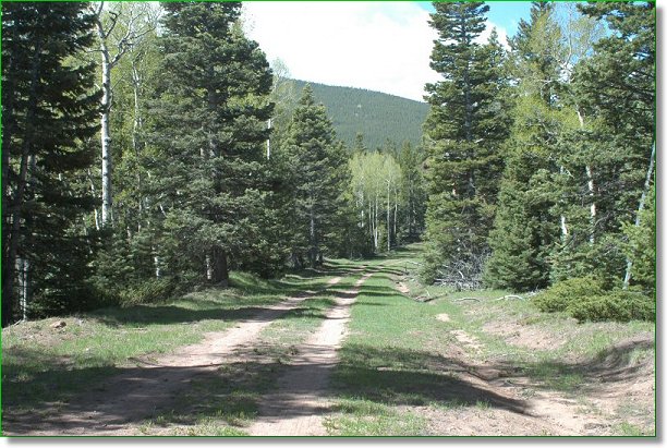Picture of Land for Sale