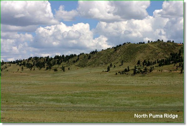 Picture of Land for Sale