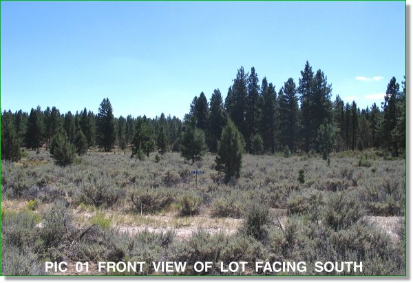 Picture of Land for Sale