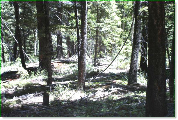 Picture of Land for Sale