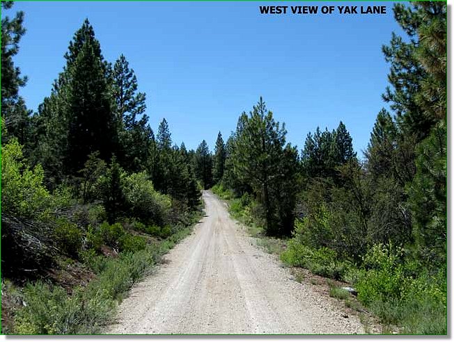 Picture of Land for Sale