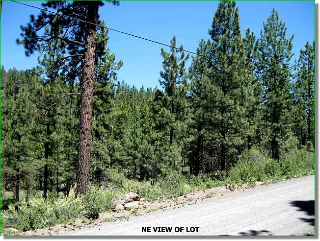 Picture of Land for Sale