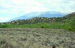 ranch, pasture and rural land for sale