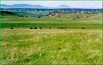 ranch, pasture and rural land for sale