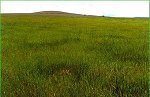 ranch, pasture and rural land for sale