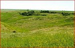 ranch, pasture and rural land for sale