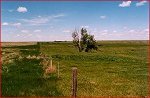 ranch, pasture and rural land for sale