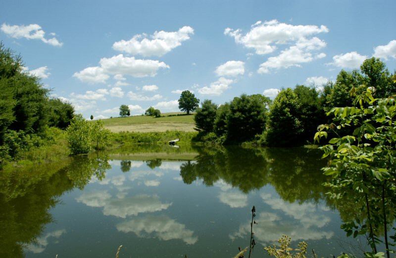 Kentucky Land for Sale Kentucky Land Auctions Picture Gallery