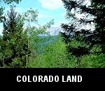 bid on land